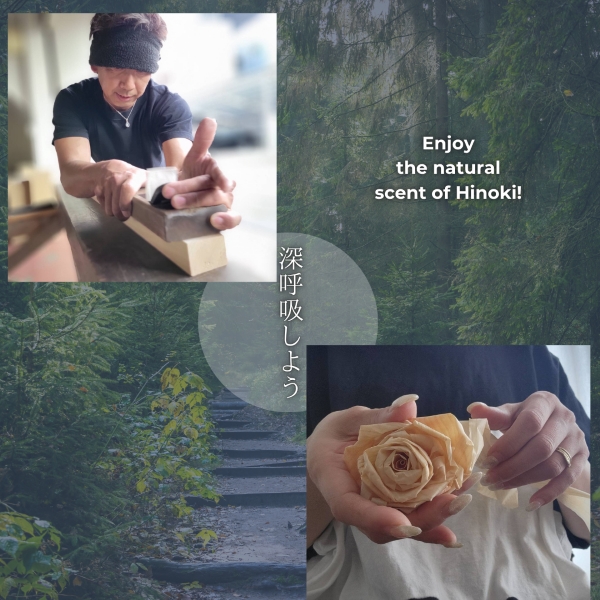 hinoki001