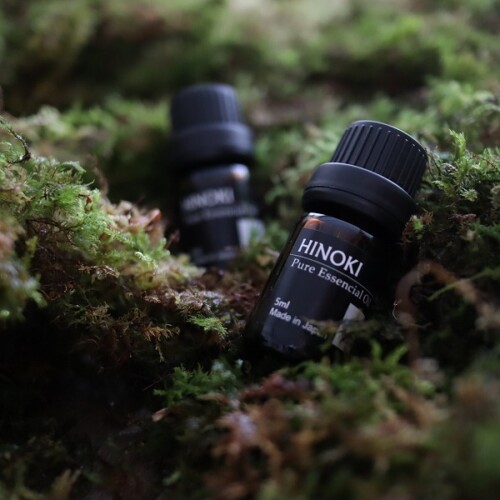 hinoki002