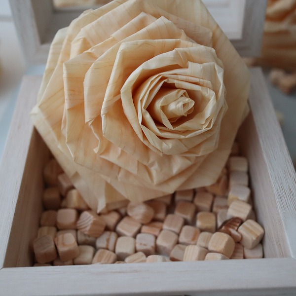 hinoki005